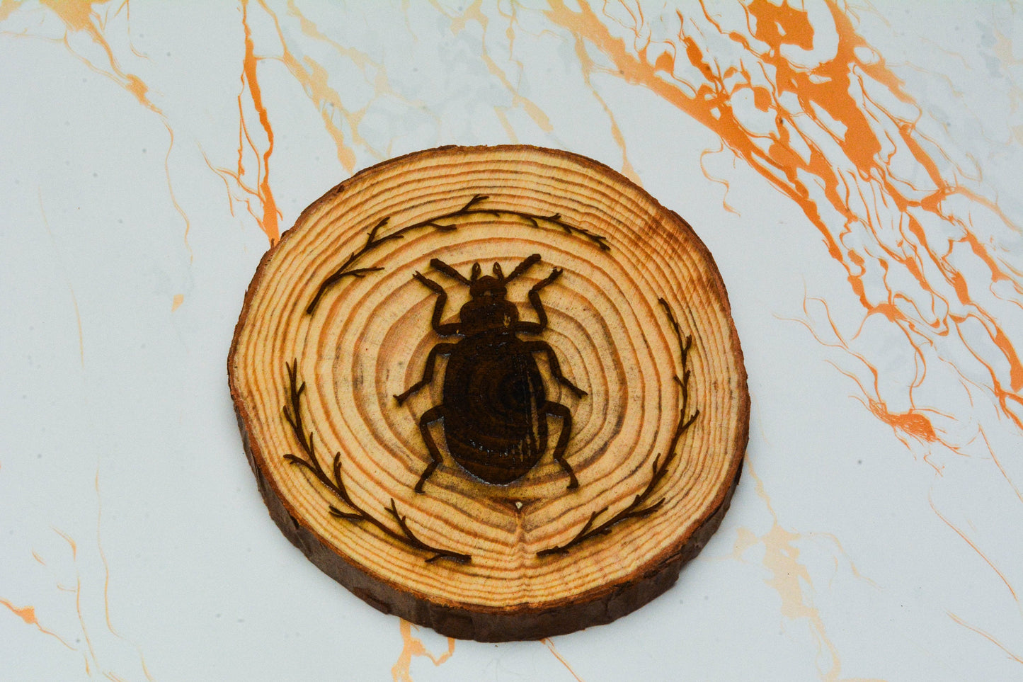 Whimsical Beetle Coaster Set – Rustic Wooden Cottagecore Decor, Personalised Insect Drink Mats, Farmhouse Nature Gift for Her or Him