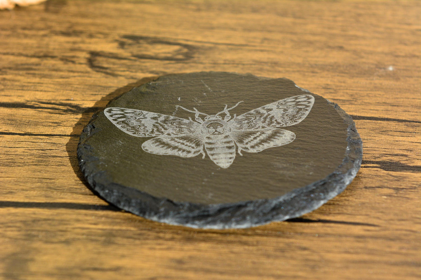 Death’s Head Hawkmoth Slate Coaster – Gothic Nature Decor for Moth Lovers & Witches